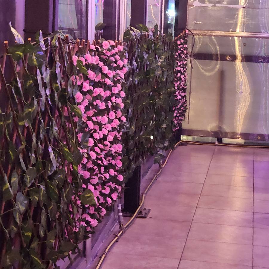 Terraza con luces
