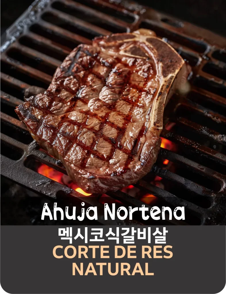AHUJA NORTENA